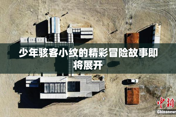 少年骇客小纹的精彩冒险故事即将展开