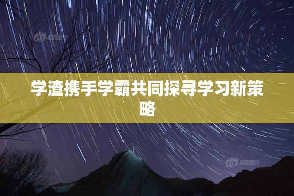 学渣携手学霸共同探寻学习新策略