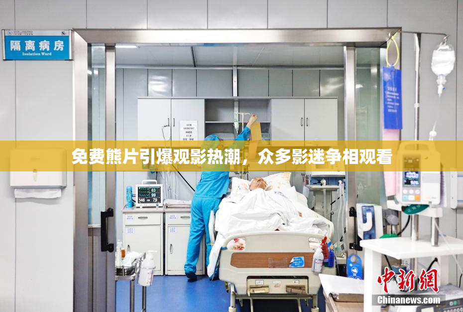 免费熊片引爆观影热潮，众多影迷争相观看