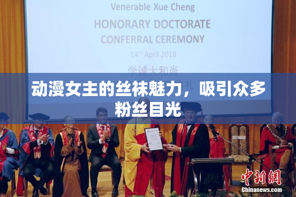 动漫女主的丝袜魅力，吸引众多粉丝目光