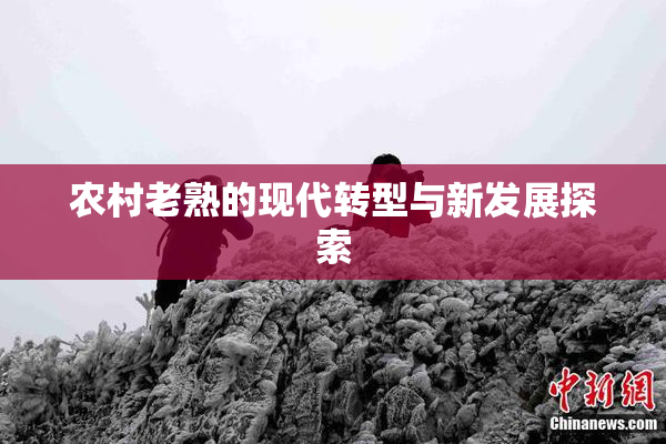 农村老熟的现代转型与新发展探索