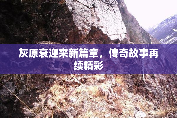 灰原衰迎来新篇章，传奇故事再续精彩