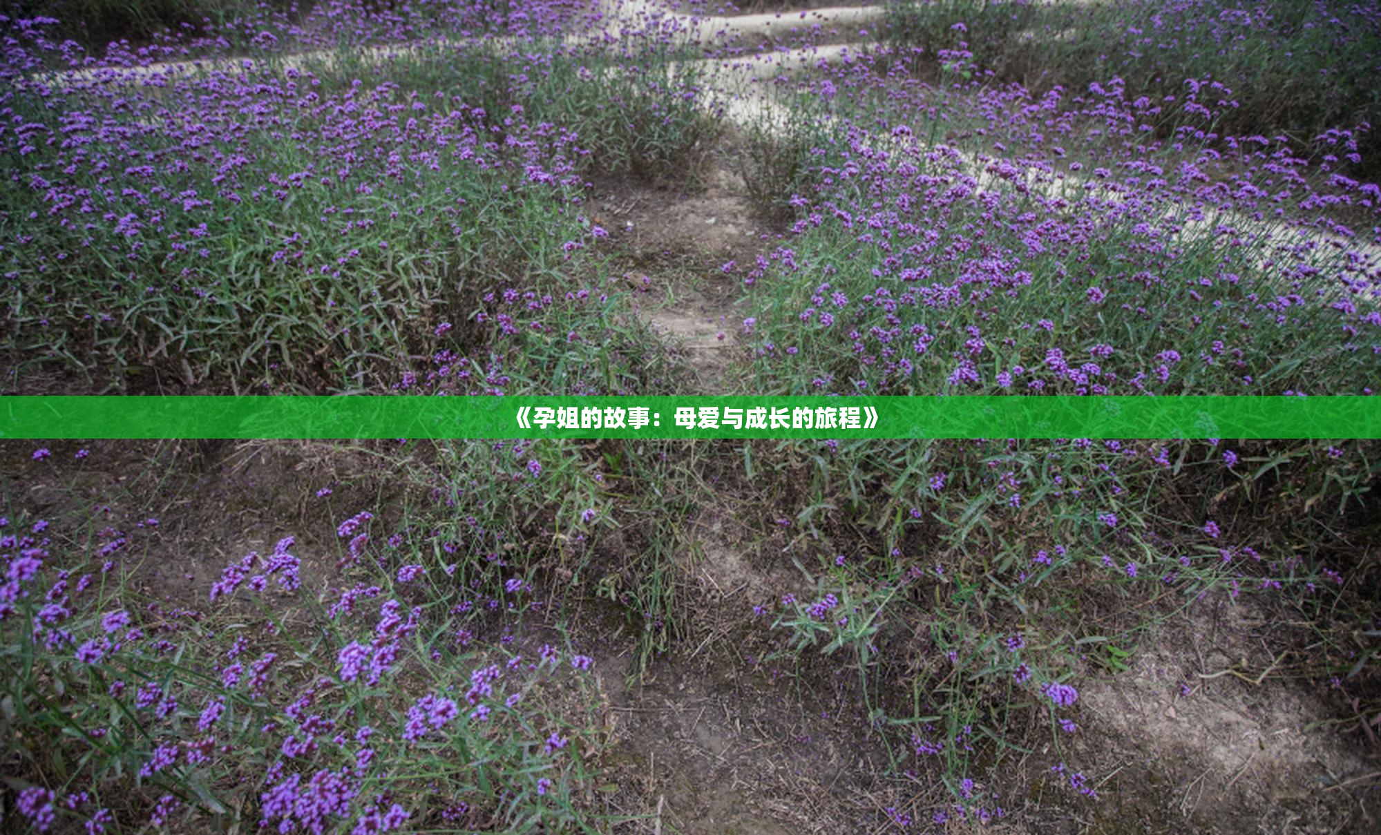 《孕姐的故事：母爱与成长的旅程》