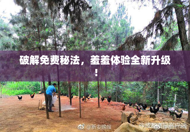 破解免费秘法，羞羞体验全新升级！