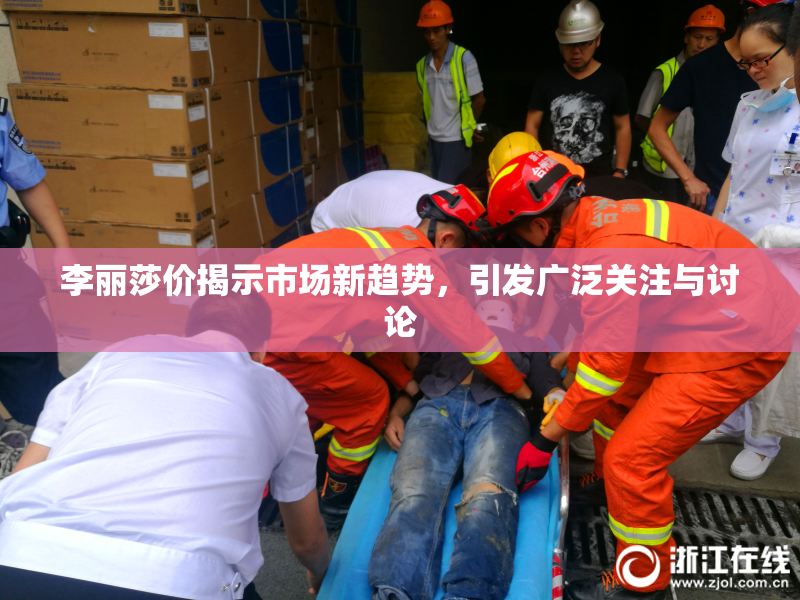 李丽莎价揭示市场新趋势，引发广泛关注与讨论