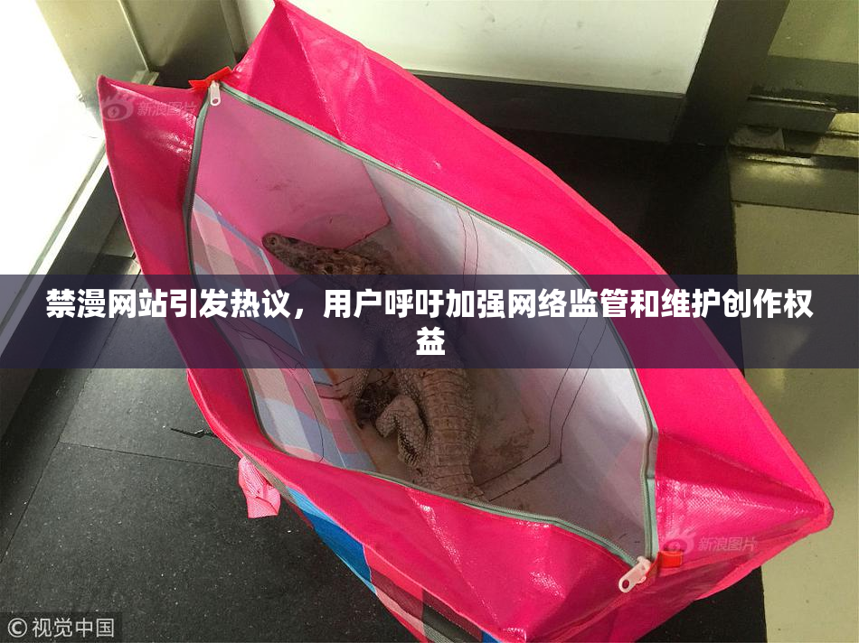 禁漫网站引发热议，用户呼吁加强网络监管和维护创作权益