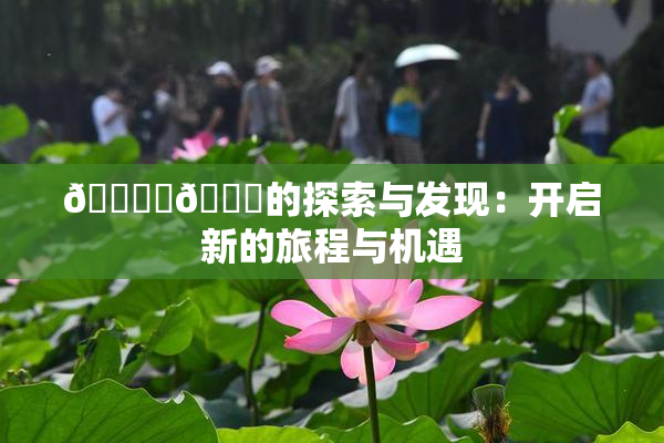 🔞‌🍌的探索与发现：开启新的旅程与机遇