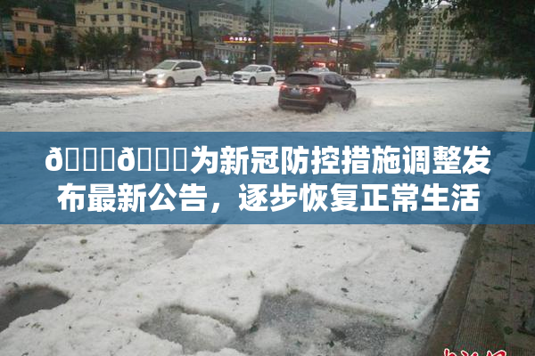 🔞🔞为新冠防控措施调整发布最新公告，逐步恢复正常生活