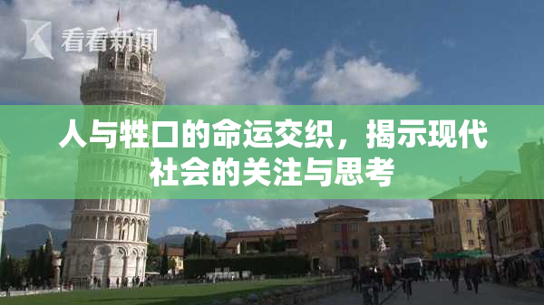 人与牲口的命运交织，揭示现代社会的关注与思考