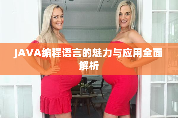 JAVA编程语言的魅力与应用全面解析