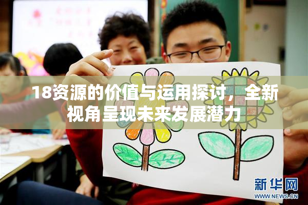 18资源的价值与运用探讨，全新视角呈现未来发展潜力