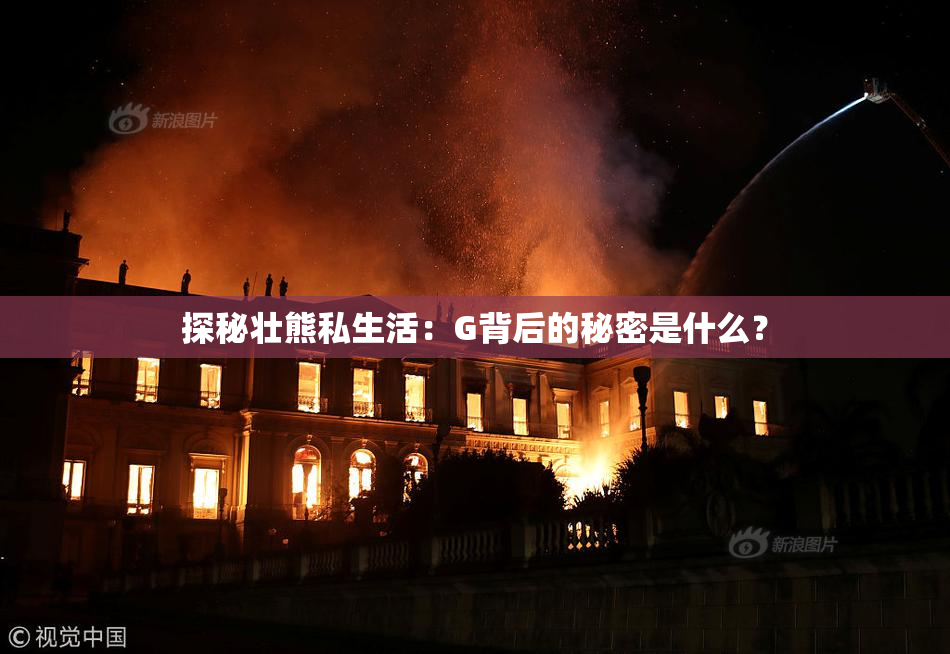 探秘壮熊私生活：G背后的秘密是什么？