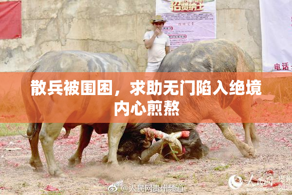散兵被围困，求助无门陷入绝境内心煎熬