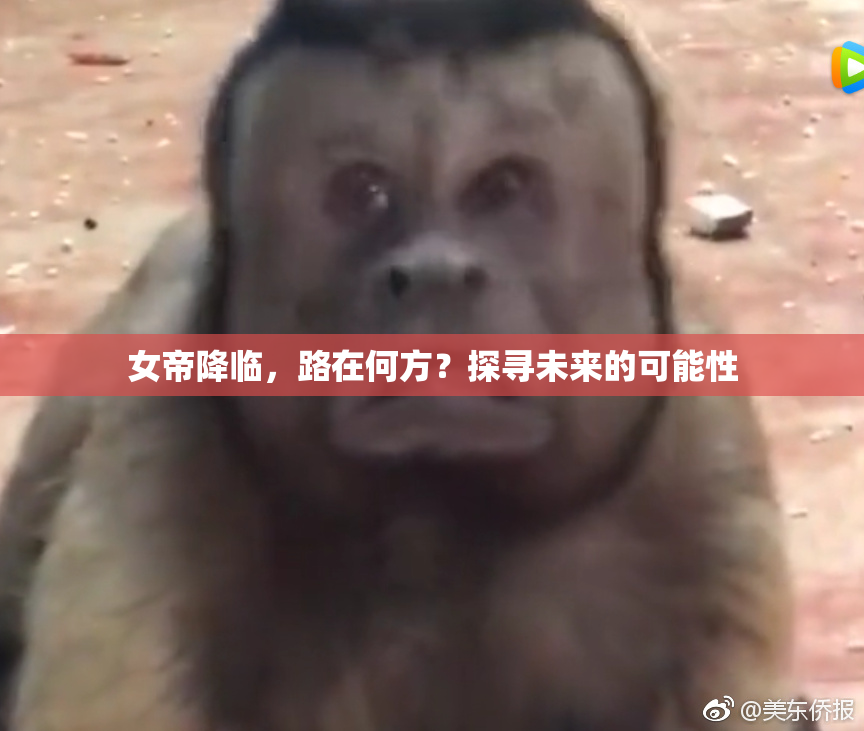女帝降临，路在何方？探寻未来的可能性