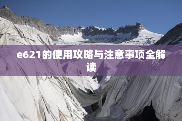 e621的使用攻略与注意事项全解读