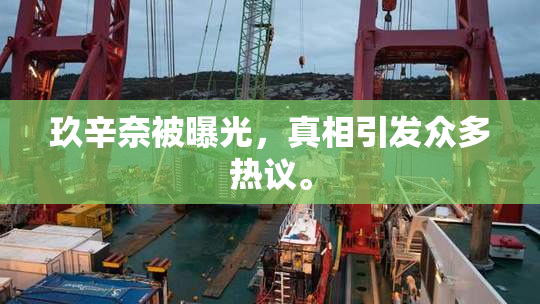 玖辛奈被曝光，真相引发众多热议。