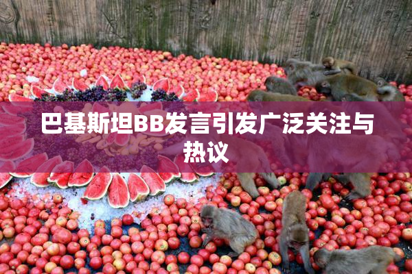 巴基斯坦BB发言引发广泛关注与热议