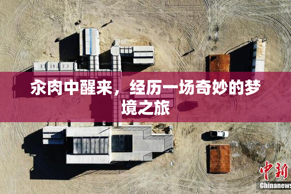 汆肉中醒来，经历一场奇妙的梦境之旅