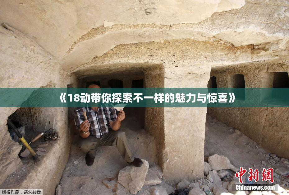 《18动带你探索不一样的魅力与惊喜》
