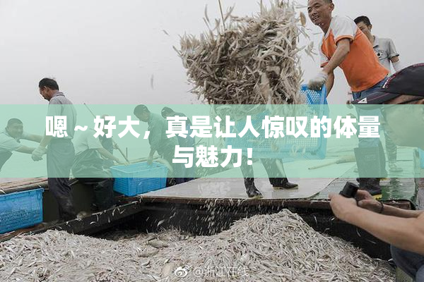 嗯～好大，真是让人惊叹的体量与魅力！