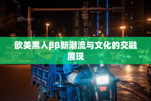 欧美黑人ββ新潮流与文化的交融展现