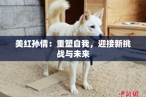 美红孙倩：重塑自我，迎接新挑战与未来