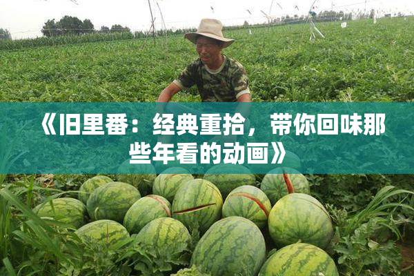 《旧里番：经典重拾，带你回味那些年看的动画》