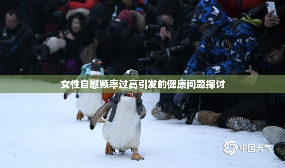 女性自慰频率过高引发的健康问题探讨