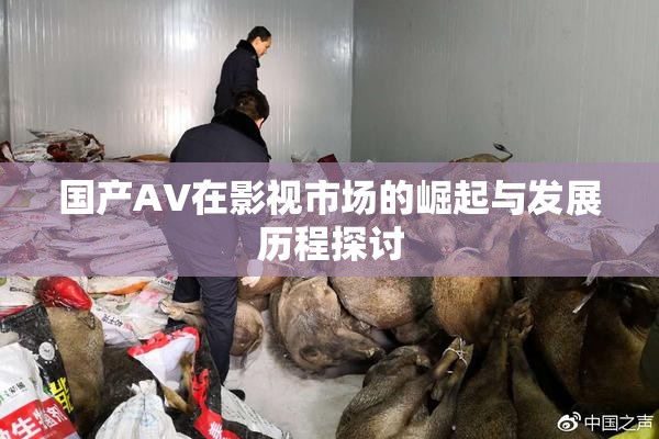 国产AV在影视市场的崛起与发展历程探讨