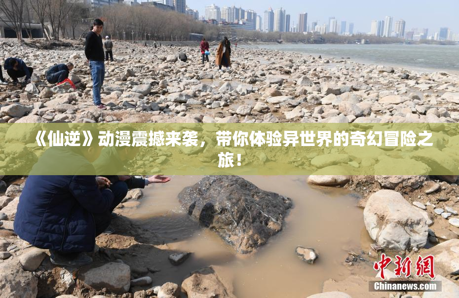 《仙逆》动漫震撼来袭，带你体验异世界的奇幻冒险之旅！
