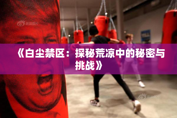 《白尘禁区：探秘荒凉中的秘密与挑战》