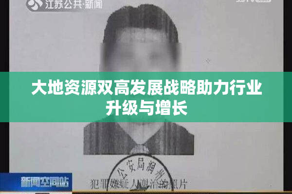 大地资源双高发展战略助力行业升级与增长