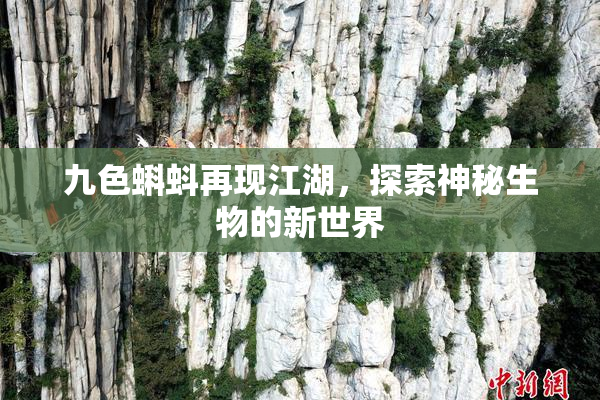 九色蝌蚪再现江湖，探索神秘生物的新世界