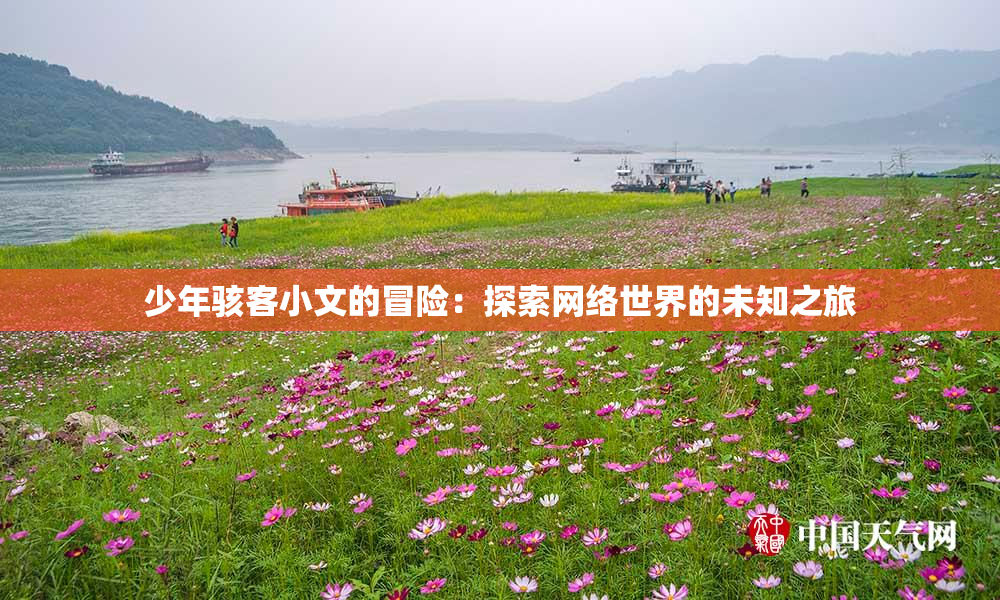 少年骇客小文的冒险：探索网络世界的未知之旅