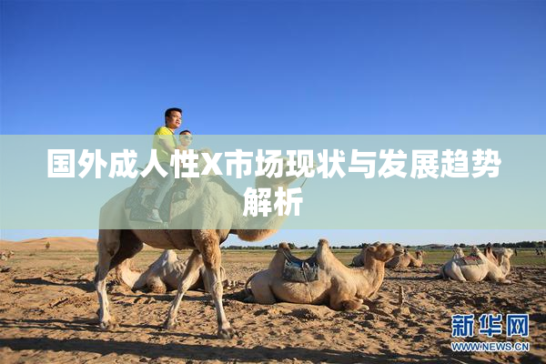 国外成人性X市场现状与发展趋势解析