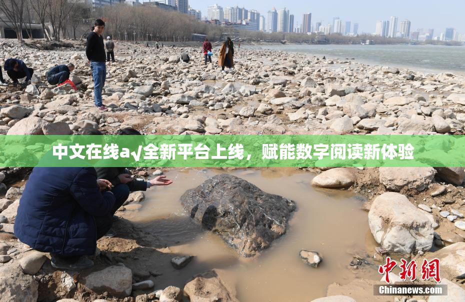 中文在线а√全新平台上线，赋能数字阅读新体验