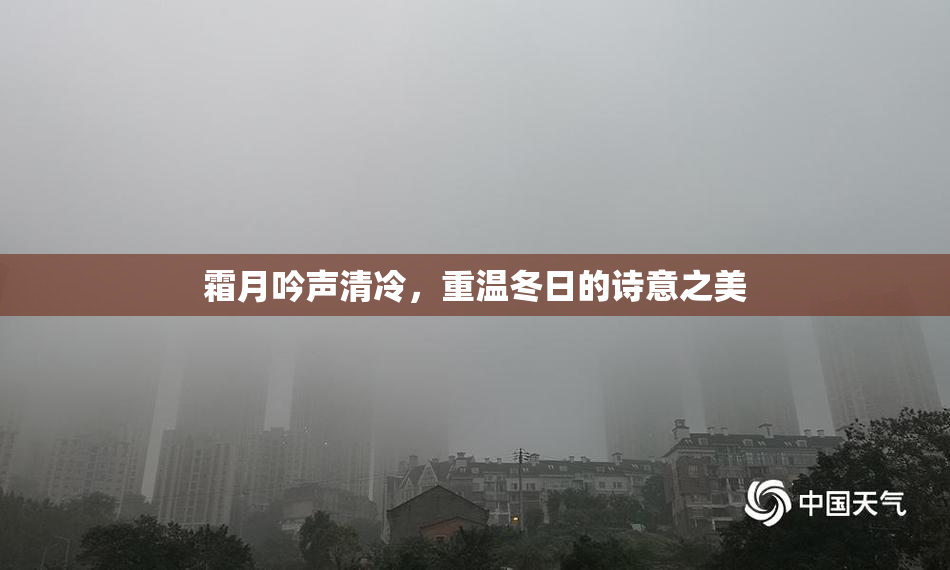 霜月吟声清冷，重温冬日的诗意之美