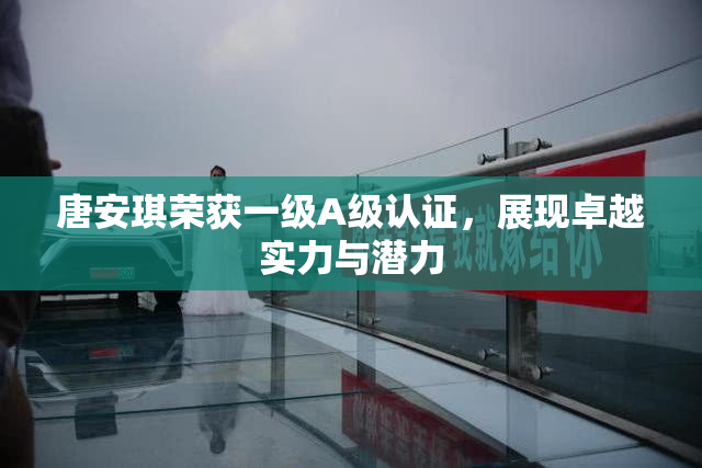 唐安琪荣获一级A级认证，展现卓越实力与潜力