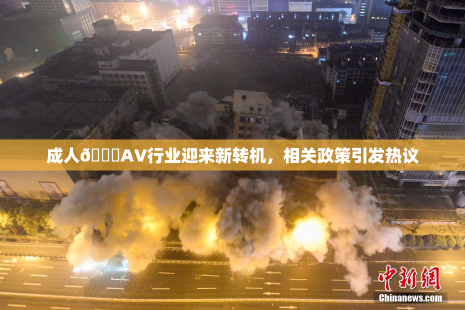 成人🔞AV行业迎来新转机，相关政策引发热议