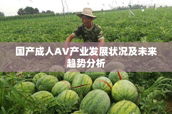 国产成人AV产业发展状况及未来趋势分析