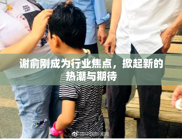 谢俞刚成为行业焦点，掀起新的热潮与期待