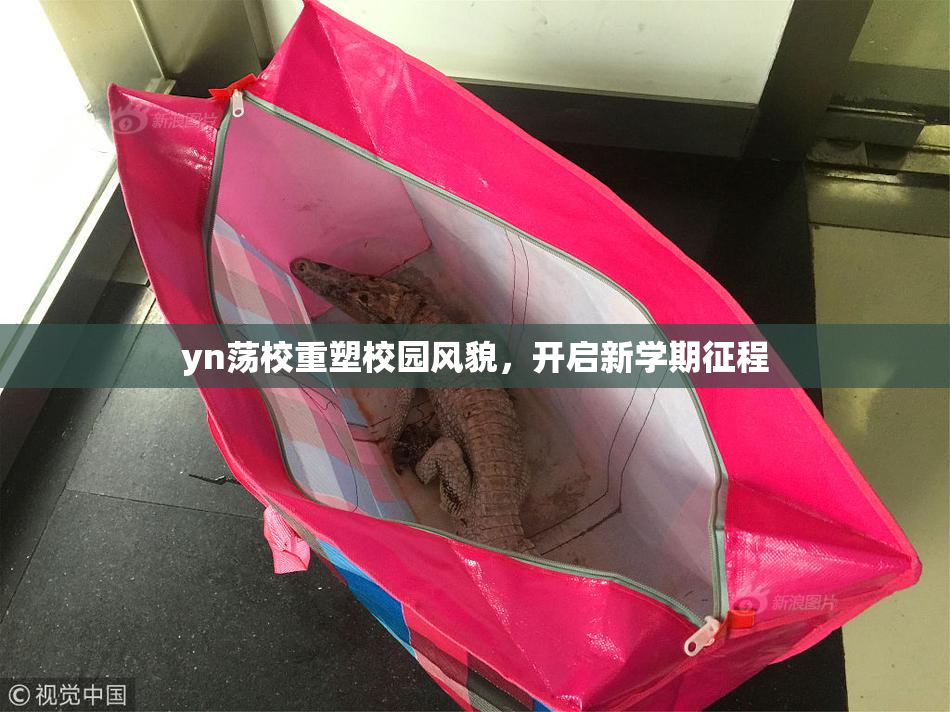 yn荡校重塑校园风貌，开启新学期征程