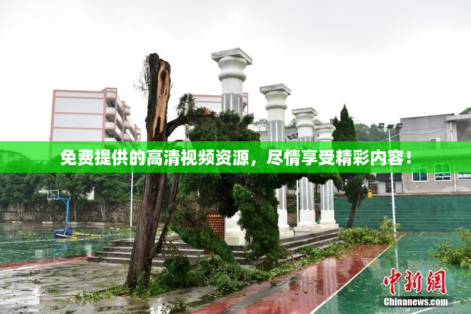 免费提供的高清视频资源，尽情享受精彩内容！