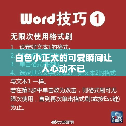 白色小正太的可爱瞬间让人心动不已