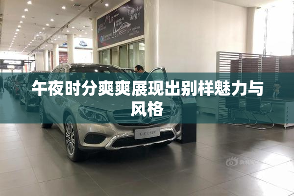午夜时分爽爽展现出别样魅力与风格