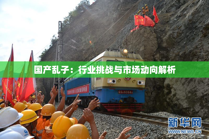 国产乱子：行业挑战与市场动向解析