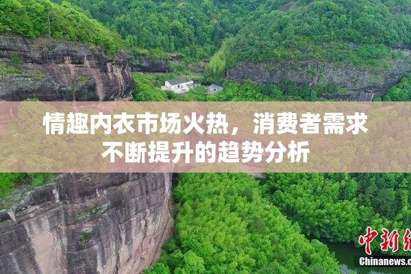 情趣内衣市场火热，消费者需求不断提升的趋势分析