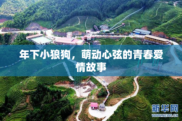 年下小狼狗，萌动心弦的青春爱情故事