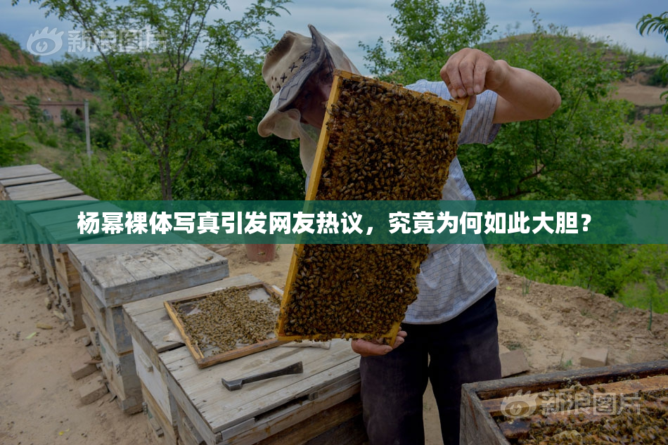 杨幂裸体写真引发网友热议，究竟为何如此大胆？