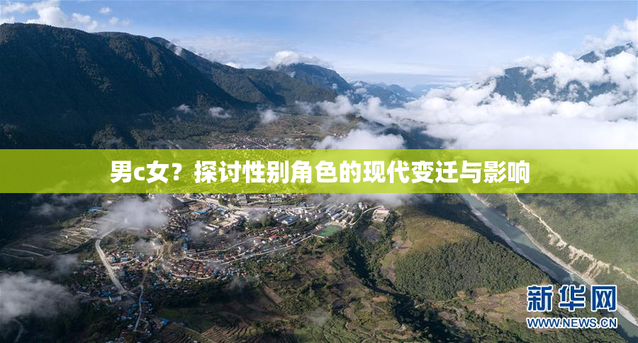 男c女？探讨性别角色的现代变迁与影响
